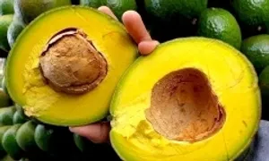 7 loại trái cây giàu protein tốt cho người giảm cân