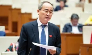 'Hỗ trợ quá thấp khó khuyến khích phụ nữ sinh con'